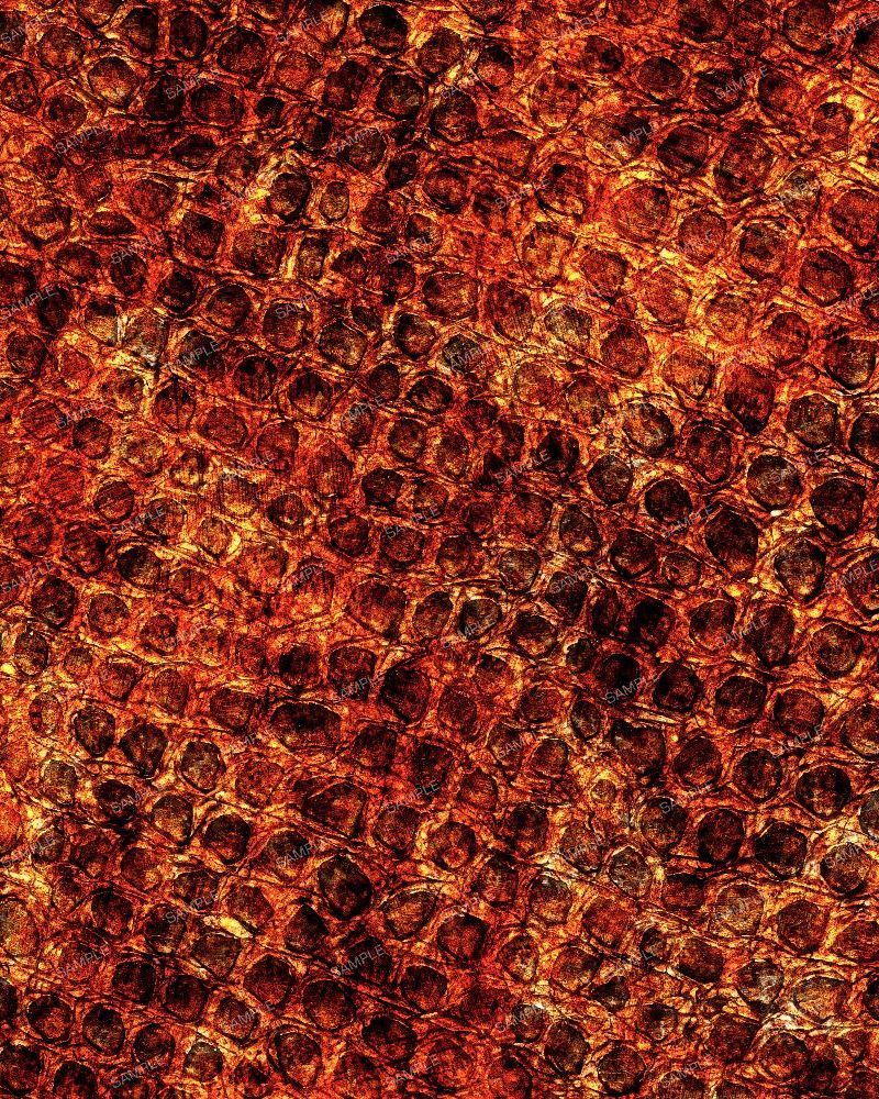 Fire Dragon Skin