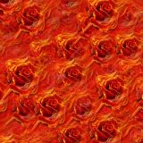 Fire-Rose.jpg