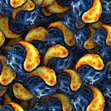Fire-and-Water.jpg