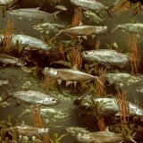 Fish-Camo-thumb.jpg
