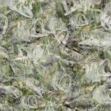 Fish-Frenzy-HexCamo-26-thumb.jpg