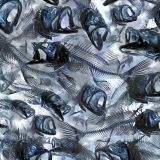 Fish-Frenzy-HexCamo-thumb.jpg