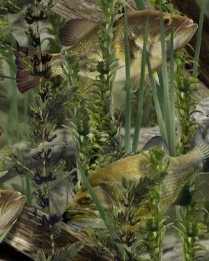 Fishoflage Bass Camouflage