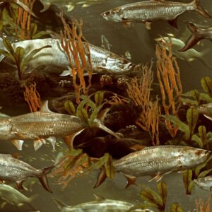 Fishoflage Tarpon Camouflage