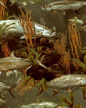 Fishoflage Tarpon Camouflage