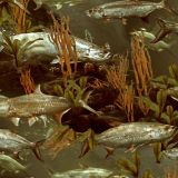 Fishoflage-Tarpon-Camo-thumb.jpg