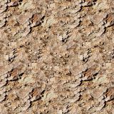 Flaky-Bark.jpg