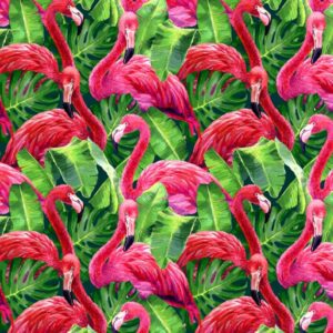 Flamingos 22