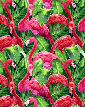 Flamingos 22