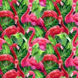Flamingo-22.jpg