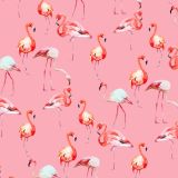 Flamingos-23-thumb.jpg