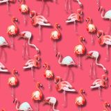 Flamingos-24-thumb.jpg