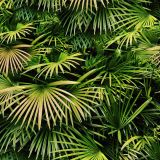 Florida-Palmetto-23-Camo.jpg