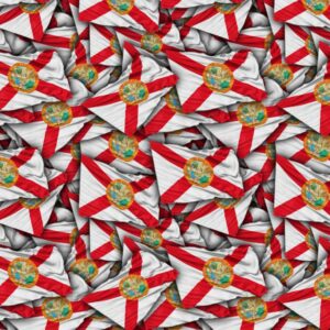 Florida State Flag