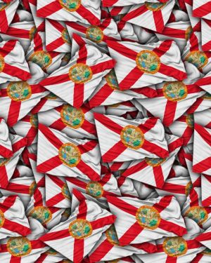 Florida State Flag