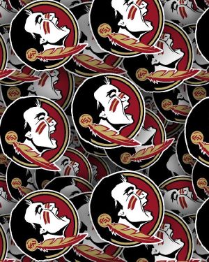 Florida State University Seminoles 23