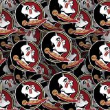 Florida-State-University-Seminoles-23.jpg
