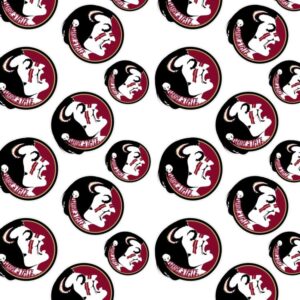 Florida State University Seminoles 24