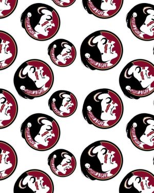 Florida State University Seminoles 24