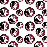 Florida-State-University-Seminoles-24.jpg