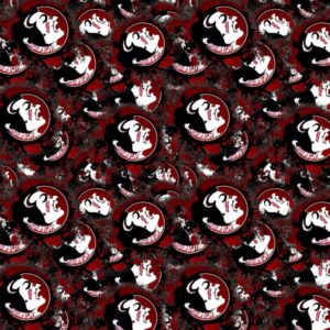 Florida State University Seminoles Splatter
