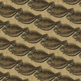 Flounder-23.jpg