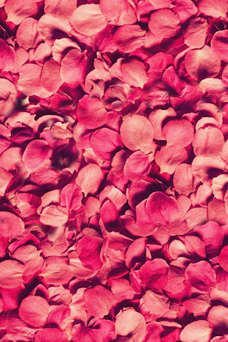 Flower Petals 22