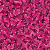 Flower-Petals-23.jpg