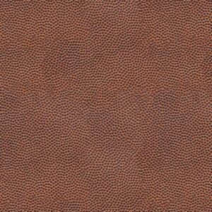 Football Leather 22