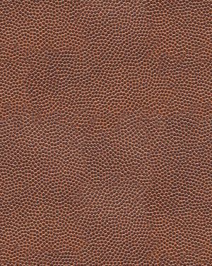 Football Leather 22