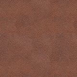 Football-Leather-22.jpg