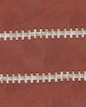 Football Leather 23