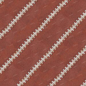 Football Leather 24