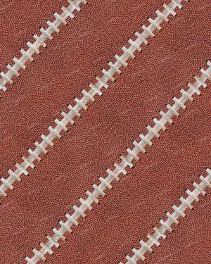 Football Leather 24