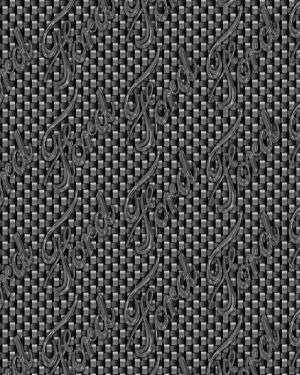Ford Carbon Fiber