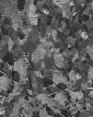 Forged Carbon Fiber 25