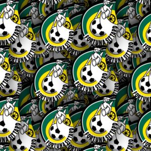 Fortuna Sittard