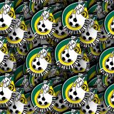 Fortuna-Sittard.jpg