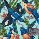 Four-Bird-Fight.jpg