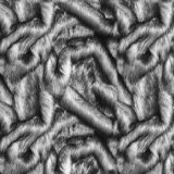 Fox-Fur-23.jpg