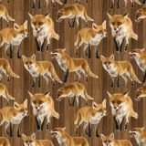 Foxes-22.jpg