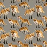 Foxes-23.jpg