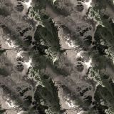 Fractal-Camo-24-Camo.jpg