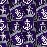 Fremantle-FC.jpg