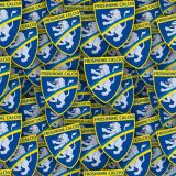 Frosinone.jpg