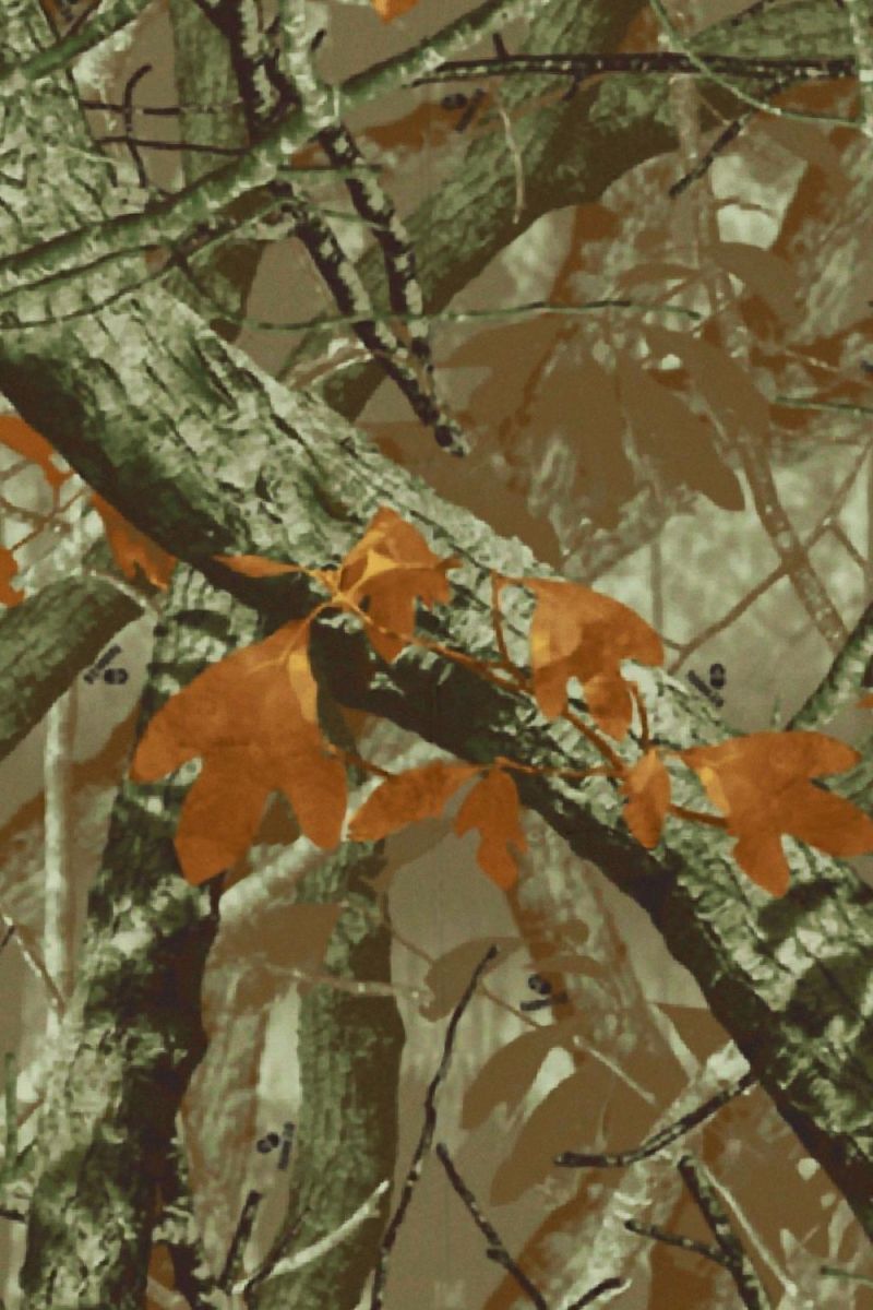 Fusion 3D Camouflage