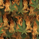 Ganja-Fire-23.jpg
