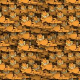 Garfield-22.jpg
