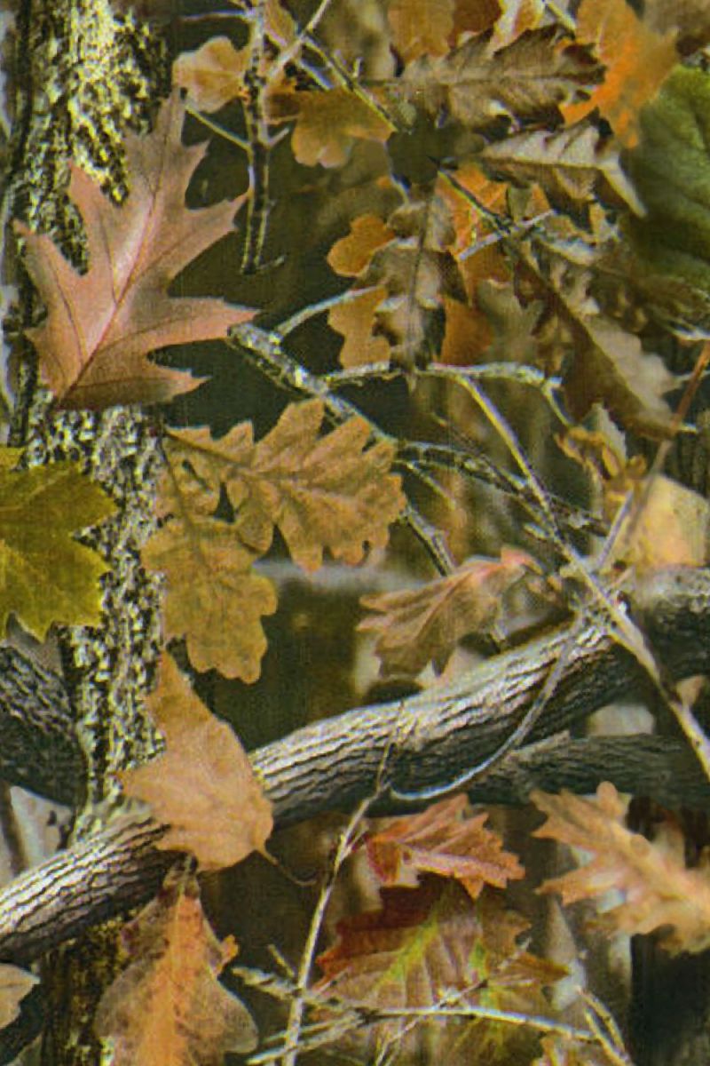 Generic Stick Leaf Camouflage
