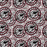 Georgetown-Raiders-23.jpg